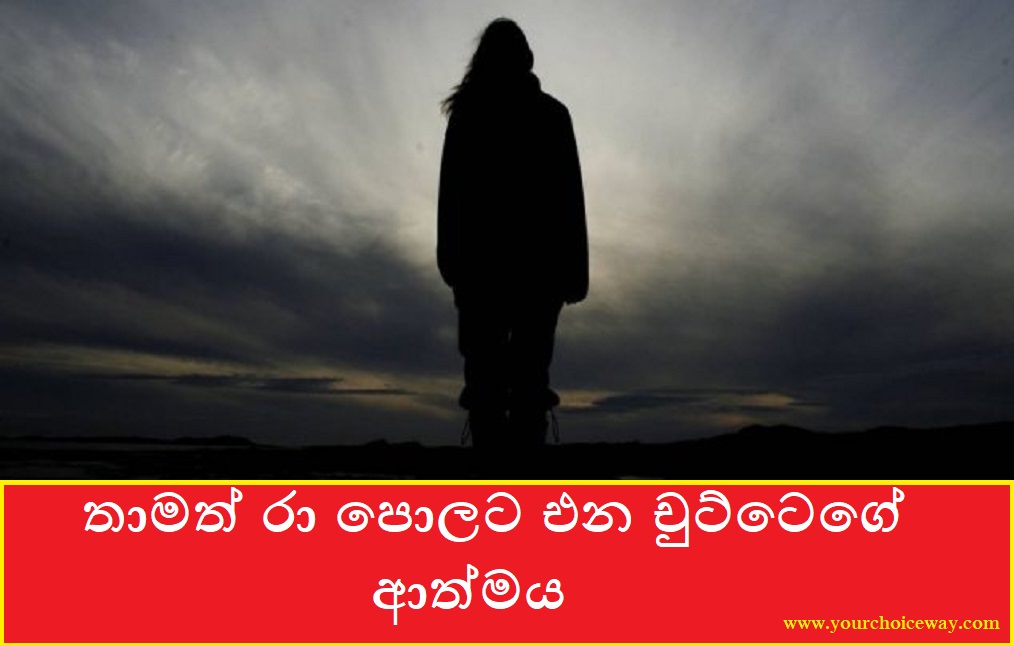 LokayaWishmitha's tweet photo. තාමත් රා පොලට එන චුට්ටෙගේ ආත්මය (Chutte)

සම්පූර්ණ ලිපිය කියවන්න👉    https://t.co/G3E9DJ9lNi

Google Paly 👉  https://t.co/CN5hIN0Cam

#wishmithalokaya #srilanka #sinhala #srilankan  #විශ්මිතලෝකය #සිංහල #lka #blogger #blog #sinhalablogger #wordpre https://t.co/iQaumk9Nvp