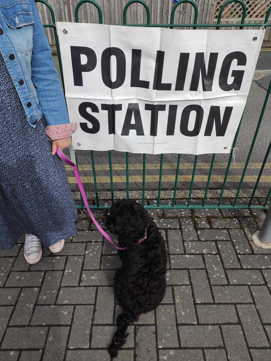 Pup's first polls. #DontVoteTory #dogsatpollingstations