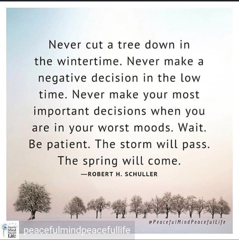 MBudha's tweet photo. Never make a negative decision in the low time #success #leadership #thoughtleadersh https://t.co/Dea0jN3ZXG