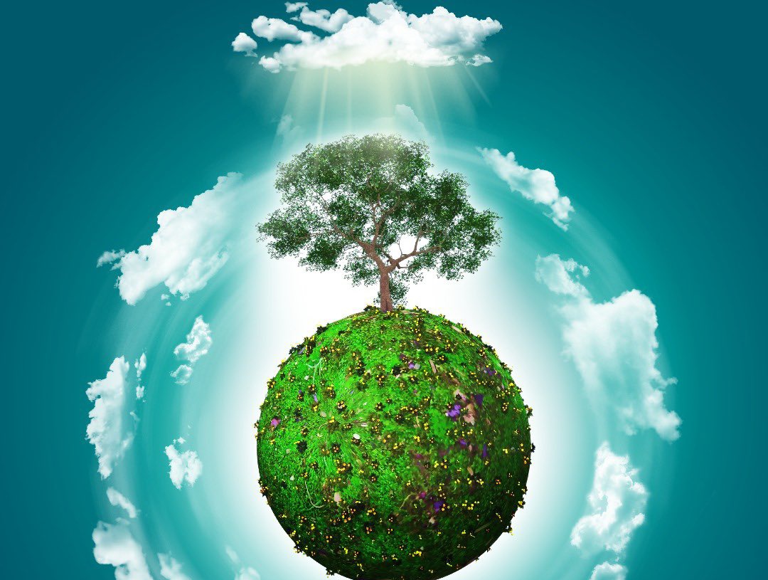 ClintoneBill's tweet image. Investing in decarbonization initiatives is forward thinking and responsible. A direct route to carbon sequestration is planting trees.
#ClimateBrawl #AMAwithSadhguru #SaveSoilMovement #conservation #FridaysForFuture