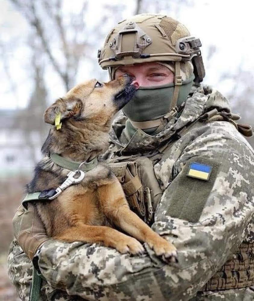 TheOvalPawffice's tweet photo. 🐾 Our hearts are with the brave Ukrainian hoomans and all the animals who live in that land. We are keeping all our paws crossed for these kind, purrfect people and the pets of Ukraine. Good will prevail. Ukraine will win. Meowooooof! #UkraineForever #SlavaUkraini 🇺🇦 https://t.co/2WkOaSWU8O