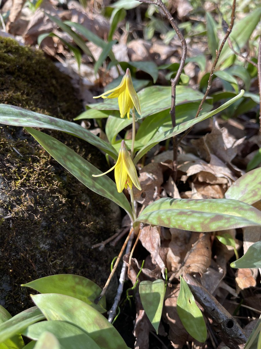 Beautiful night for a little hike <a href="/Meduxnekeag/">Meduxnekeag River</a>