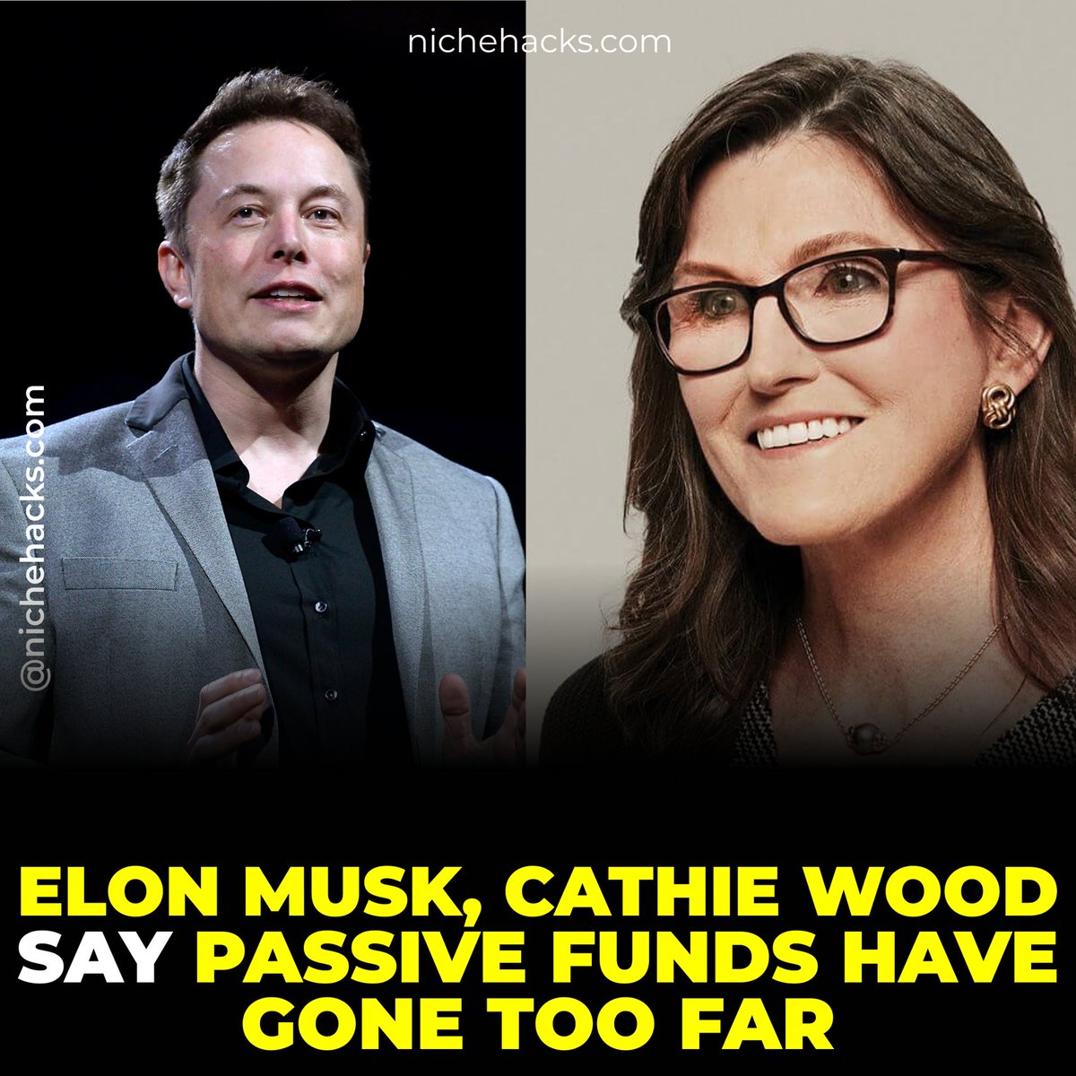 niche_hacks's tweet photo. Elon Musk and Cathie Wood criticized passive investing in a Twitter thread, weighing in on a long-running Wall Street debate about the growing power of index funds.

#NicheHacks
#NFT
#NFTS
#NFTdrop
#NFTcommunity
#money
#onlinemarketing
#motivation
#affiliateprogram https://t.co/tcpR6hqY0Q
