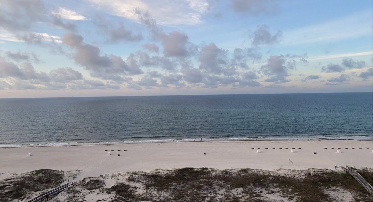 SydVish15's tweet photo. The beach and good food &amp; drinks is all a girl needs ☀️🌊🦞🍹🌴 https://t.co/HzEkzQCIDC
