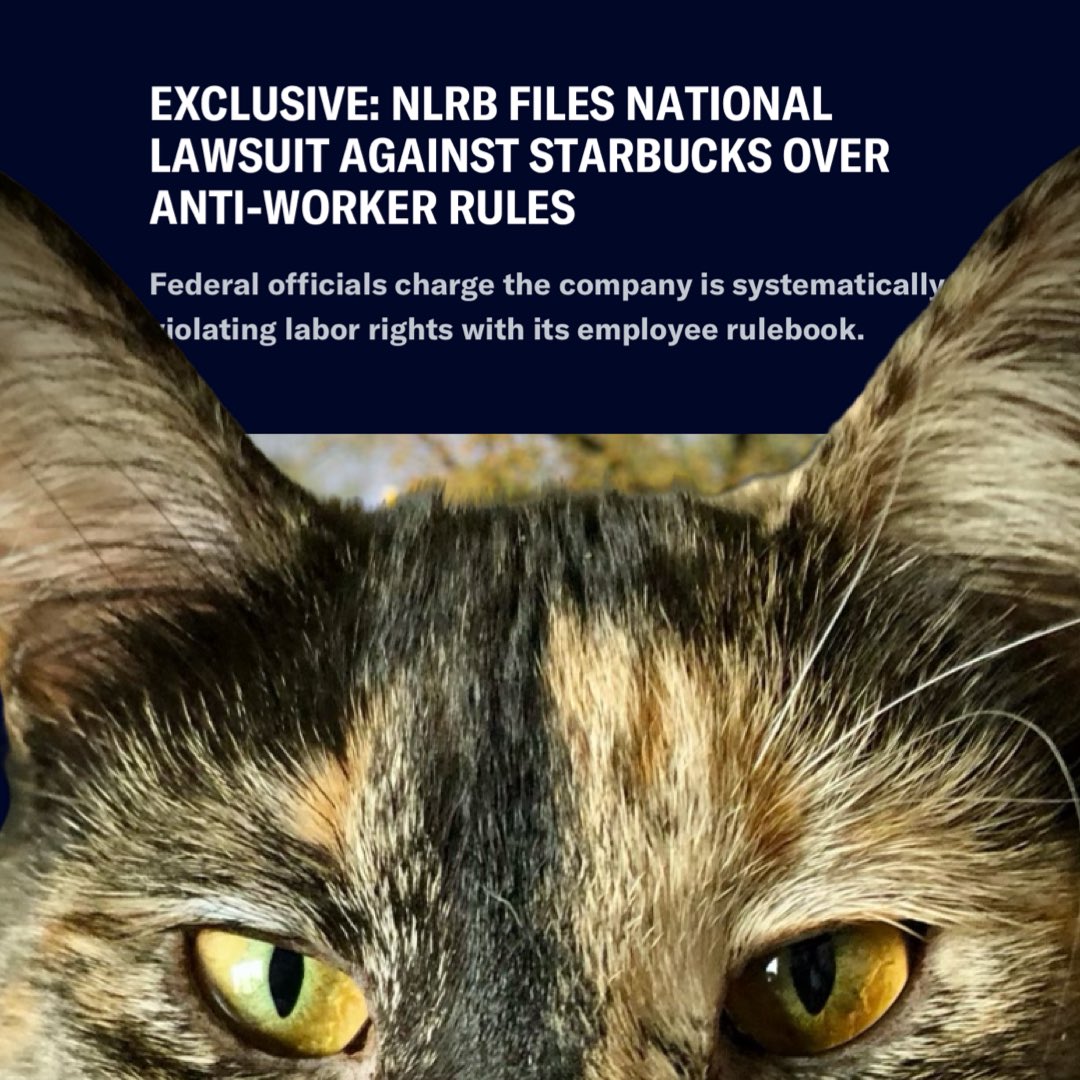 JortsTheCat's tweet photo. Whoah @NLRB is DONE playing games. They filed suit against Starbucks, saying 19 different sections of the employee handbook are “interfering with, restraining, and coercing employees in the exercise” of their right to form a union

NINETEEN?! Read it here: https://t.co/ZU50zDO2BH https://t.co/UQQlfJ3Dav
