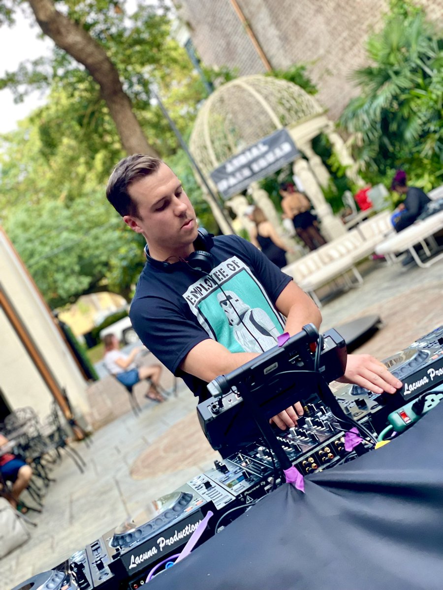 Dohm Collective tweet media