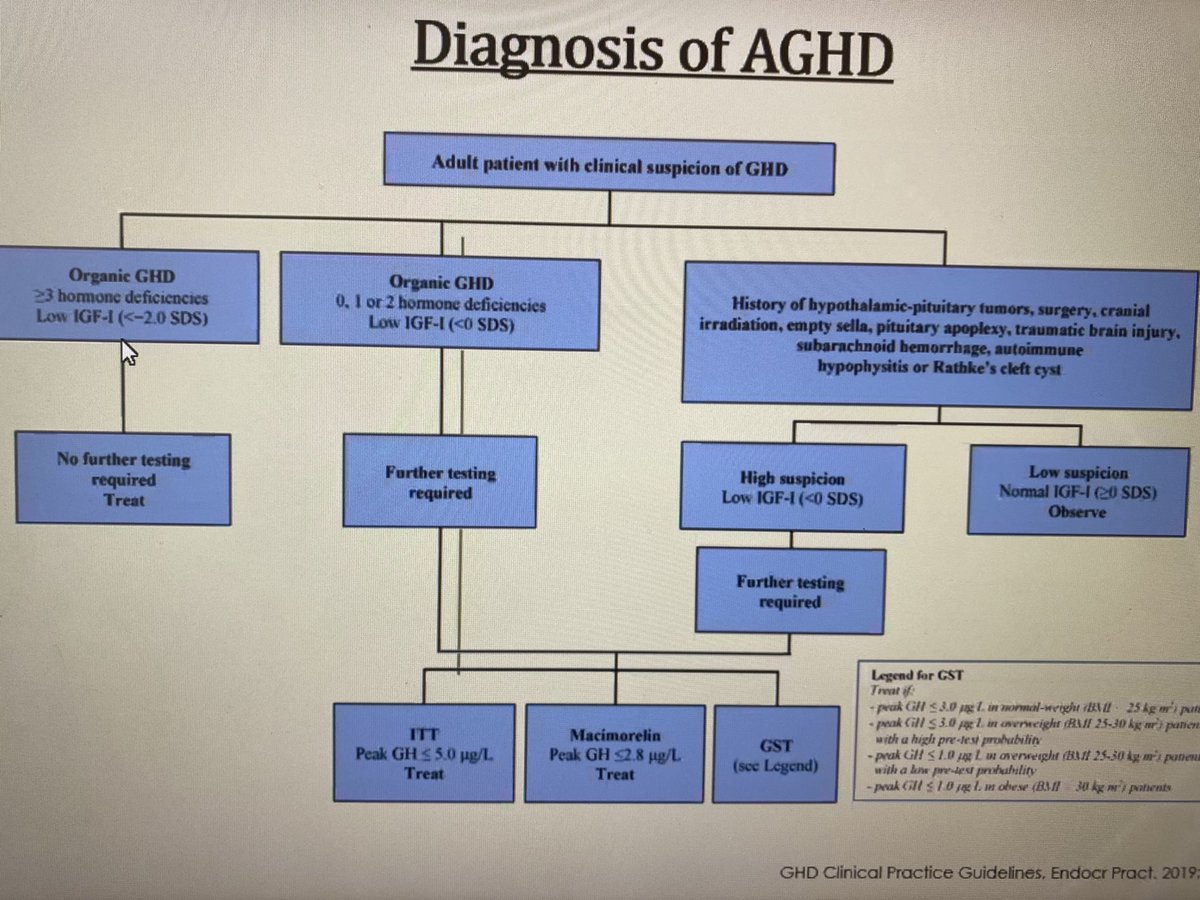 UAB_endocrine's tweet photo. Excellent review of adult #growthhormone deficiency (AGHD) by our endocrine fellow Dr Gunda! #endotwitter. Do you use #macimorelin in your institution? #uabendocrine https://t.co/eqXVZ8fj3a