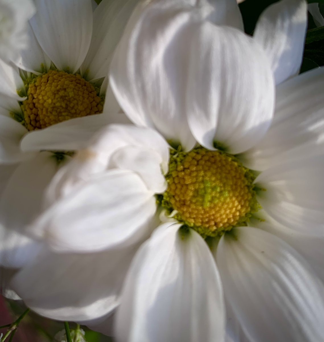 #IWouldLikeANew Friday that doesn’t involve work people