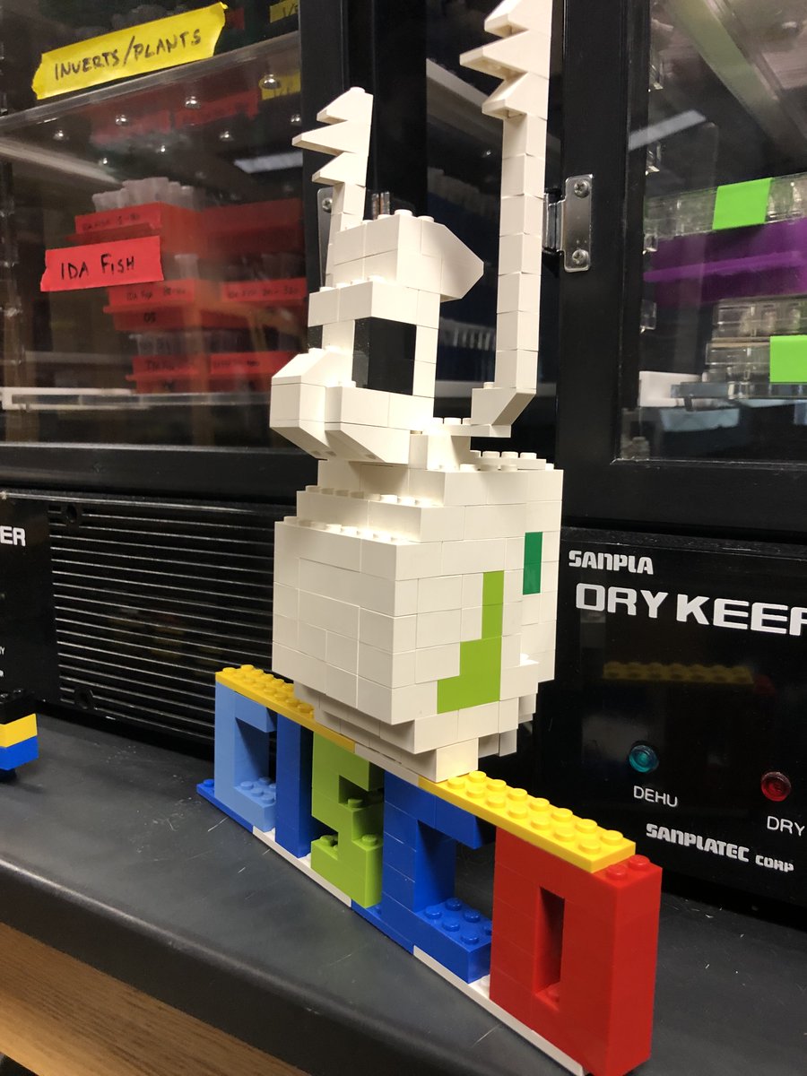 RyanCGrow's tweet photo. Had a fun time visiting the current Zimmer lab @UofStThomasMN and sharing some graduate school tips to some promising young aquatic ecologists! Added bonus to see that the LEGO #Daphnia I made during my time in the lab has survived the past 7 years! https://t.co/gTRgoc756O