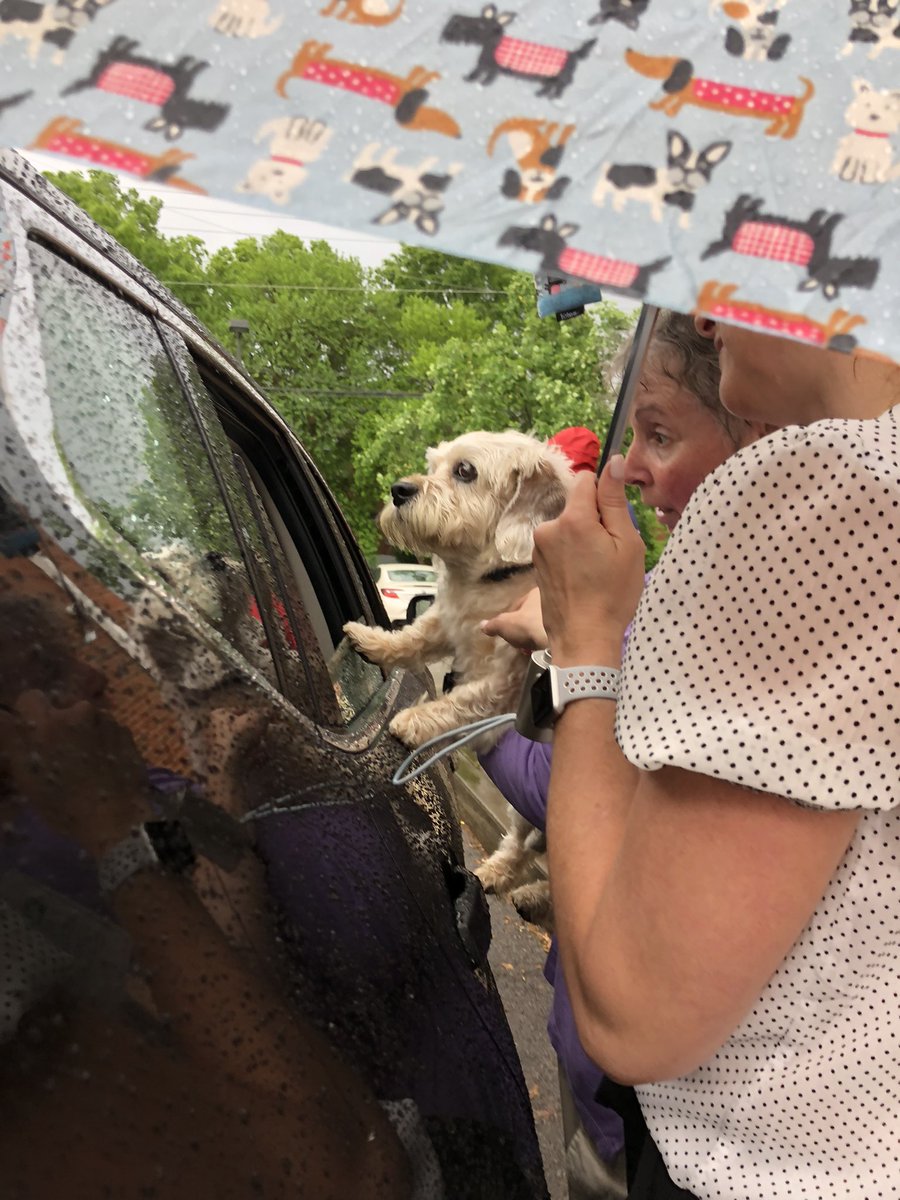 MNPSLibraries's tweet image. The rain may have dampened the ground but having therapy dogs at our drive-thru celebration certainly lifted our spirits! #mnpslibhack