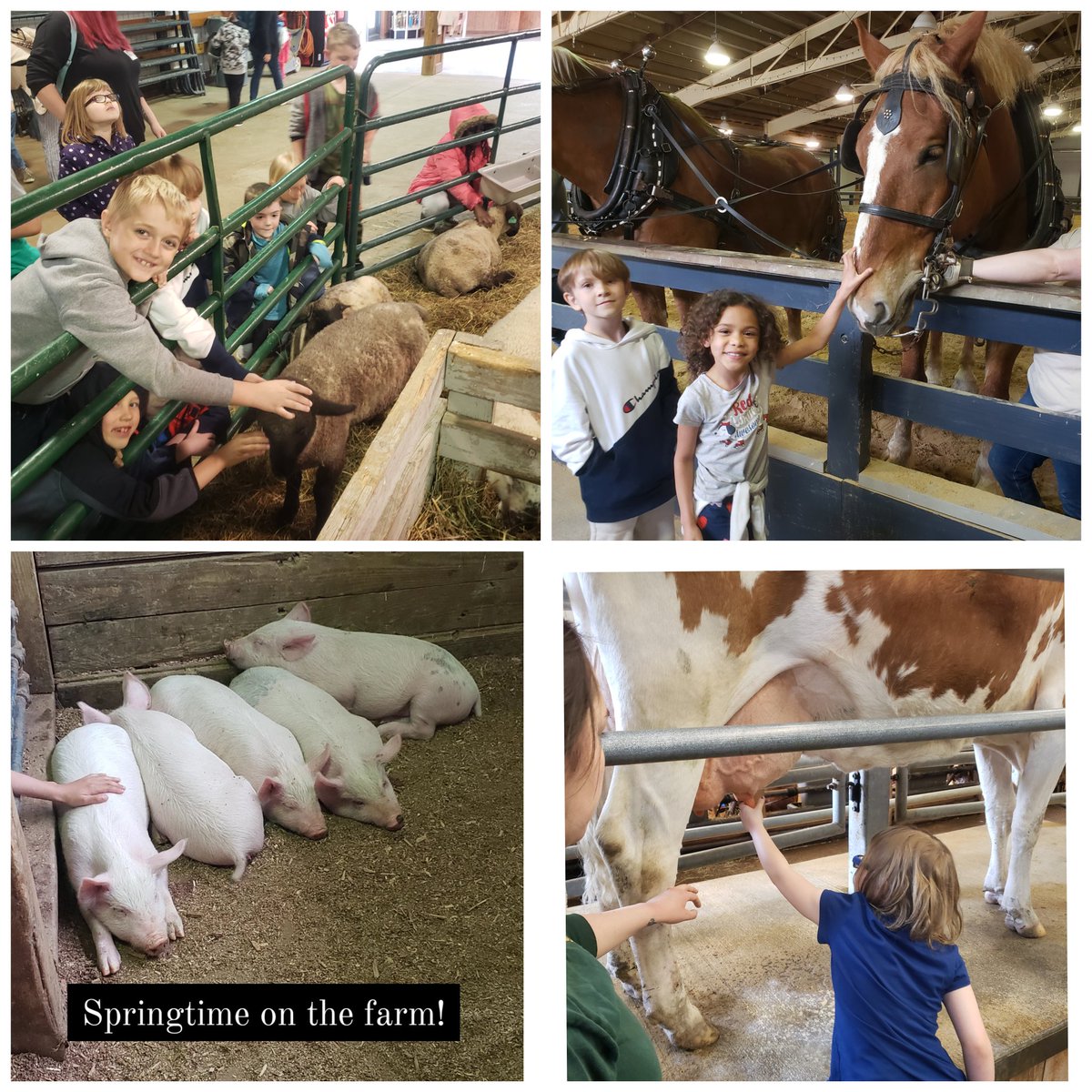 Great day at Lake Farmparks, Longfellow 2nd graders! <a href="/LongfellowElem3/">Longfellow Elementary School</a> <a href="/MsWatsonAP/">Megan Watson</a> <a href="/KarenPasquale/">Karen Pasquale</a>