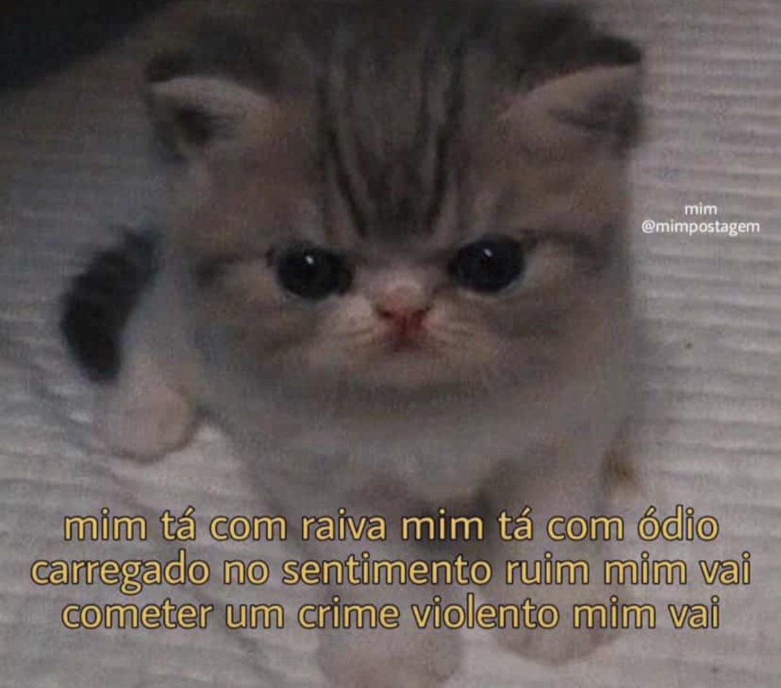 regdecalcinha's tweet photo. #asksk8 https://t.co/ukZqD4NP5p