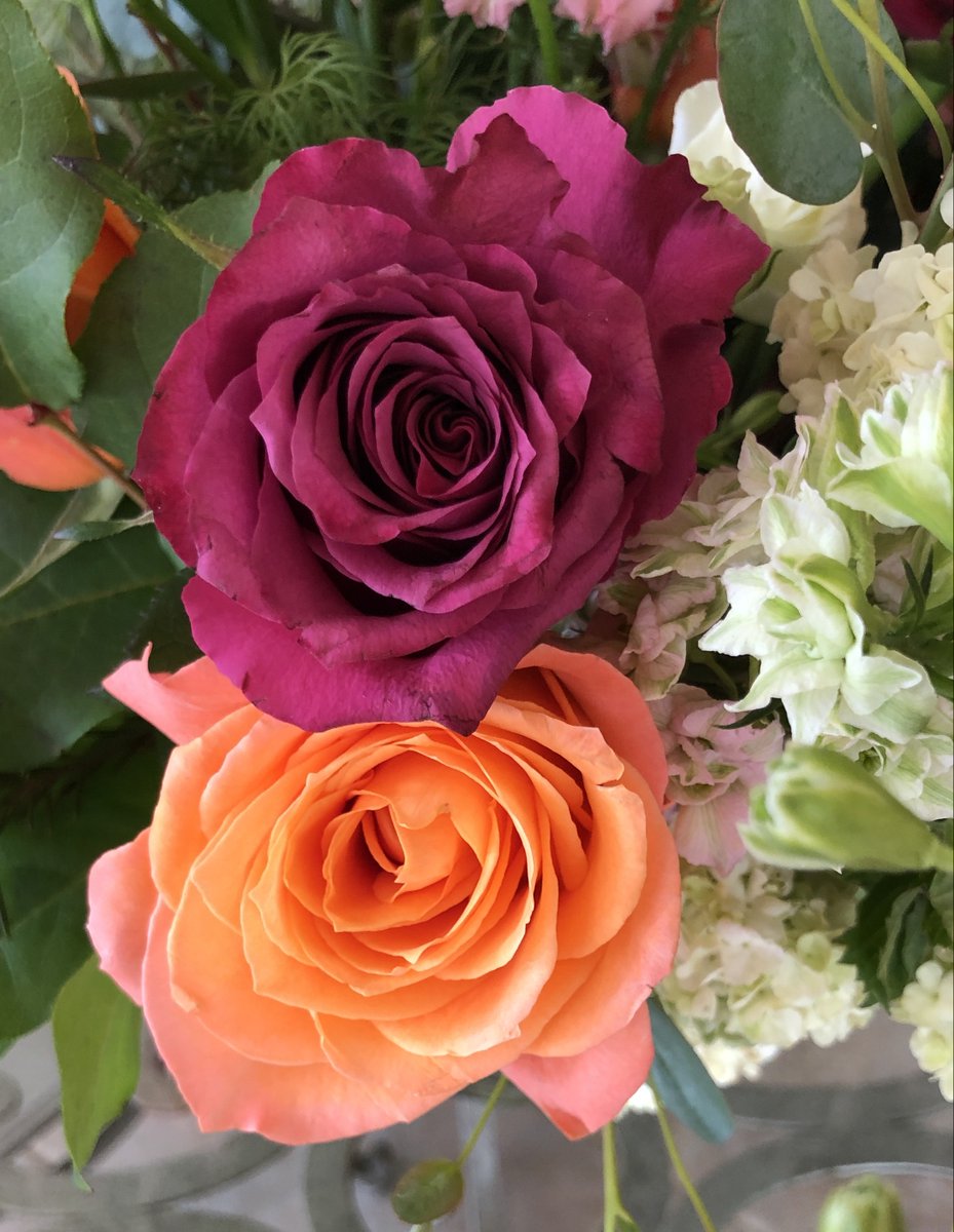 ChiefBowdangler's tweet photo. Beautiful Mother's Day bouquet arrived a bit early and oh, the air is filled with such sweet perfume! https://t.co/njmhM95UeS