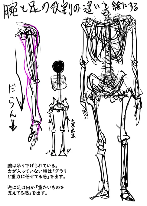 人体構造考察絵集

#絵描きさんと繋がりたい   
#初夏の創作クラスタフォロー祭り
#イラスト好きな人と繋がりたい 