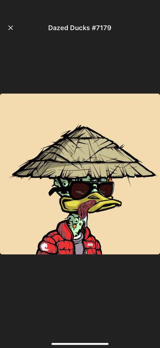 Nhd_Josh's tweet photo. @Pinapaan @DazedDucks @BohemiaArtFair @YakuCorp @catalinawhales @okaybears @DeGodsNFT #DazedDucks https://t.co/ATLfu0lloW