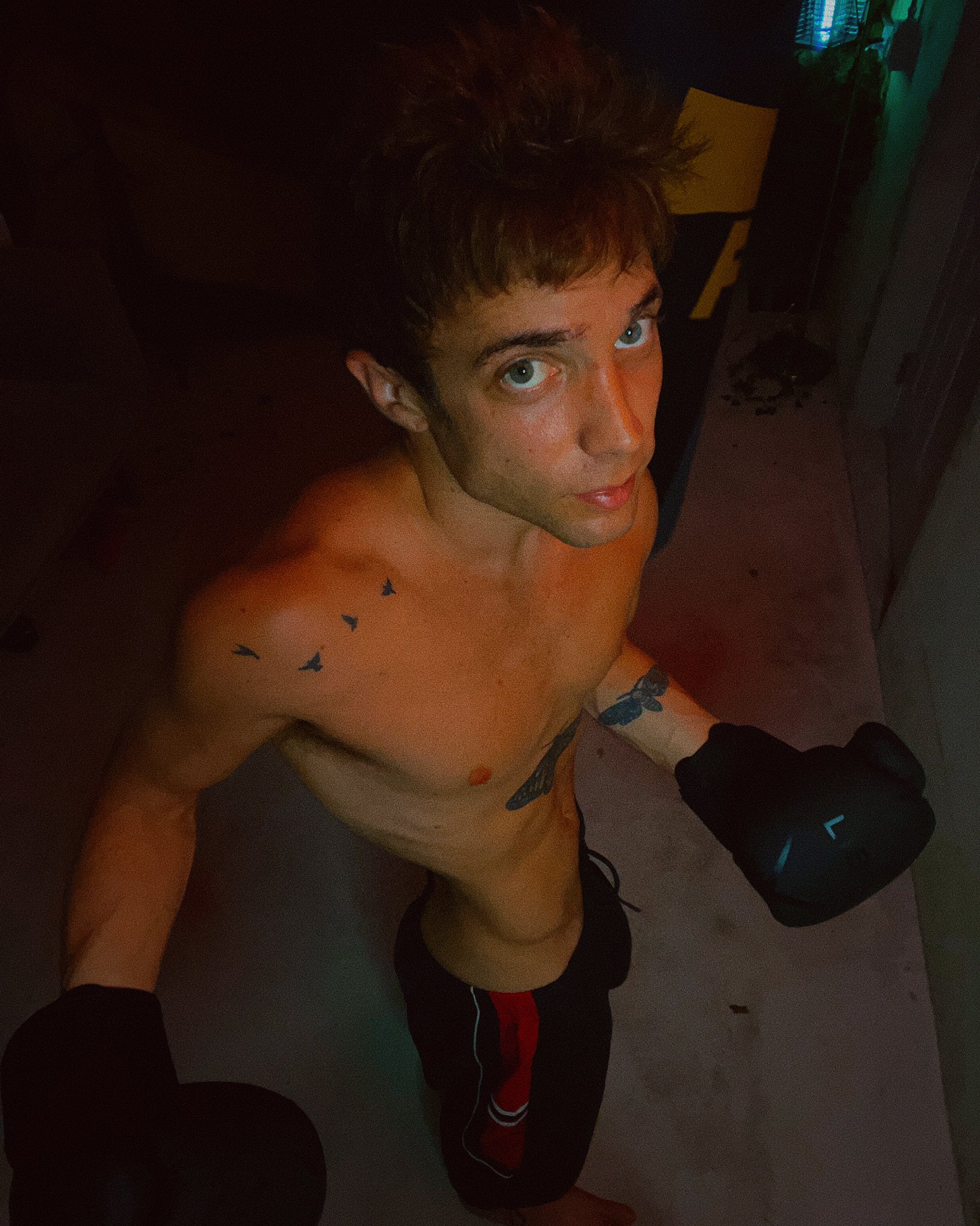 Joel Poe on Twitter: "🦊 https://t.co/6qhQhZCmMi" / Twitter