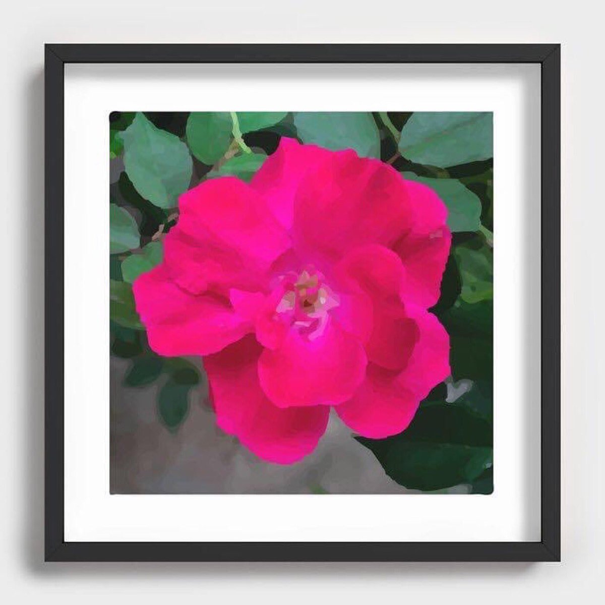 pulaskishepherd's tweet photo. “Single Bloom” Recessed Framed Print

#PulaskiShepherdCo
#pscsco
#SingleBloom
#RecessedFramedPrint
#society6

https://t.co/dN0BhhyOTA https://t.co/MbB5jQ2jh5