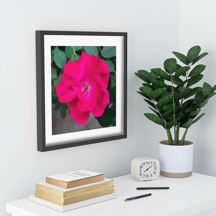 pulaskishepherd's tweet photo. “Single Bloom” Recessed Framed Print

#PulaskiShepherdCo
#pscsco
#SingleBloom
#RecessedFramedPrint
#society6

https://t.co/dN0BhhyOTA https://t.co/MbB5jQ2jh5