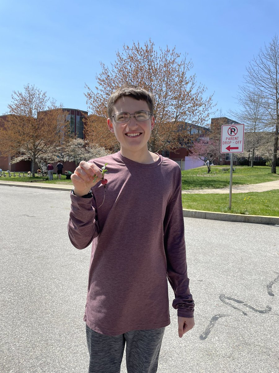 GDSustainable's tweet photo. Making the most of the sunshine to put in some seriously hard work, and we had our first harvest today: a perfect radish! #gdrsdchat #sustainable https://t.co/C7t1dQppyy