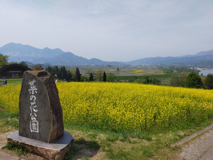 いいやま菜の花まつり 公式ホームページ 長野県飯山市 飯山市民が世界に贈る 花の祭典