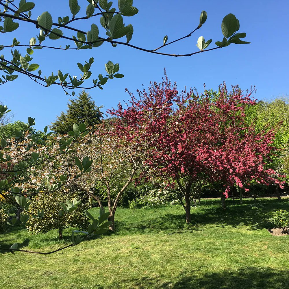 Daisy_KetoWoman's tweet photo. The park is looking particularly beautiful at the moment. Such a wonderful place to be able to take the dogs.
.
.
.
#KetoWoman #KetoWomanPodcast
#seaside #seasidelife #livingbythesea #seasideliving #hastingsandstleonards https://t.co/gTmkCIBiFC