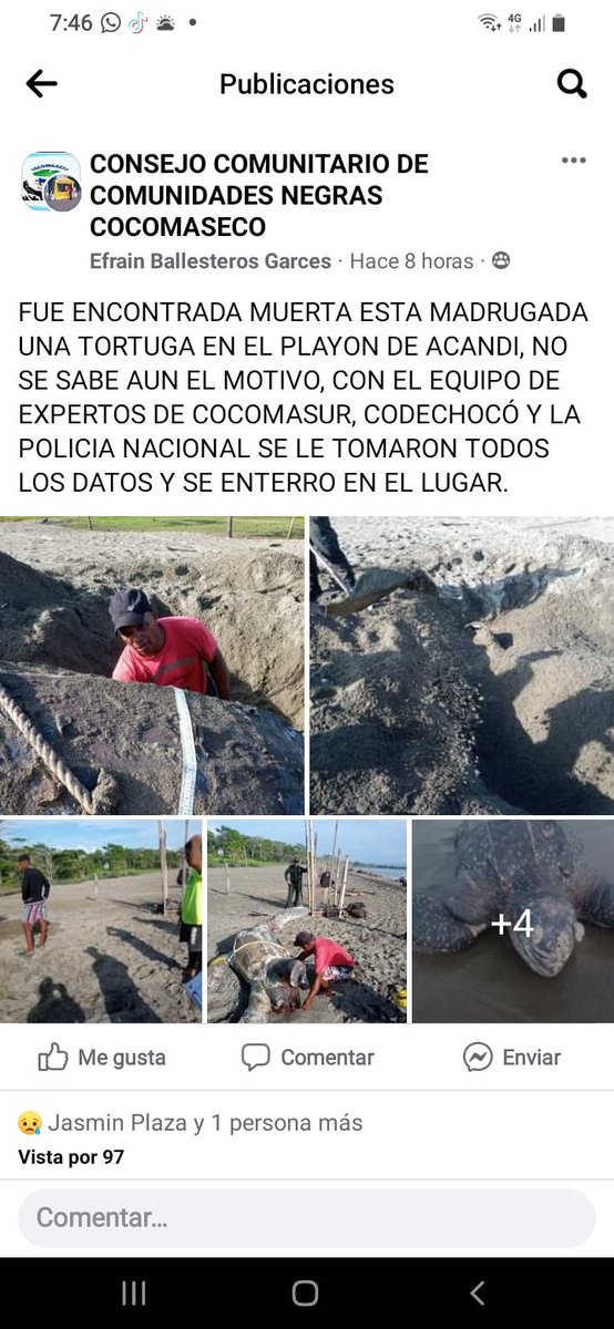 Consejo Comunitario COCOMASECO tweet media