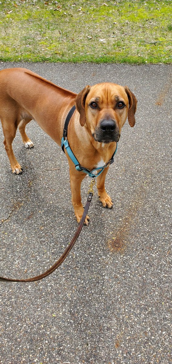 Birthday boy! I am a big 5 today!!!