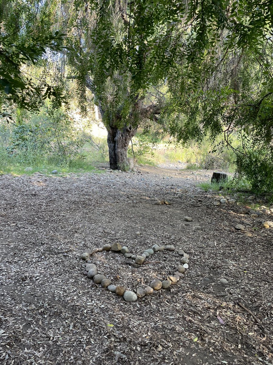 “I go to nature to be soothed and healed, and to have my senses put in order.” —John Burroughs

Quiet your #mind, connect to #nature, establish #roots. 🌵 #naturetherapy 🍁 #foresttherapy 🌳 #forestbathing 🌴 #naturebathing 🌻 #shinrinyoku 🌲 #rootsconnect 🌺