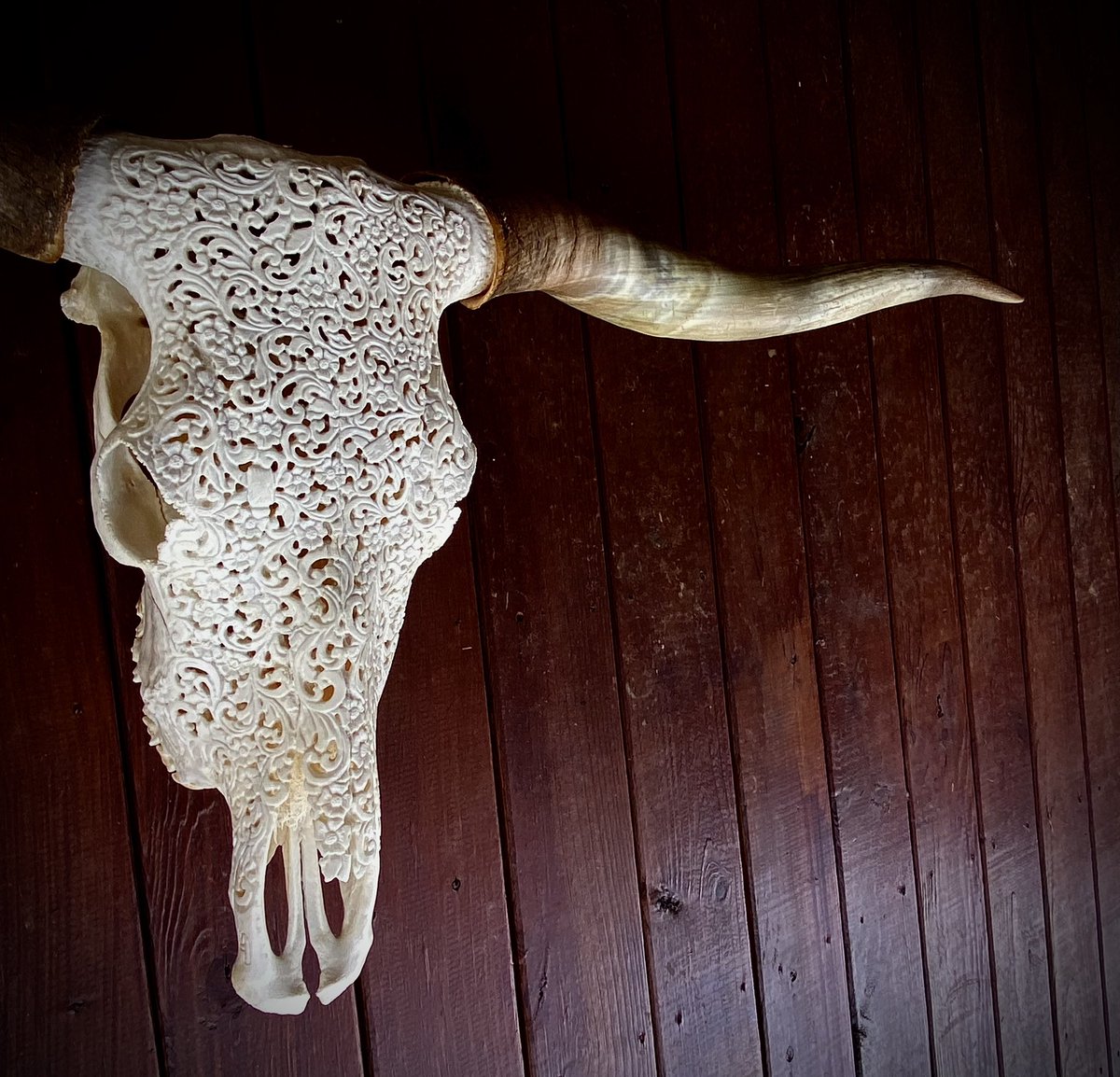 Throwback Thursday!! This was a cool project! “Abby Bandita” - fully carved skull for a TX client #Longhorns #longhorncattle #longhornskull #westernart #interiordesign #rusticart #artist #highend #skullcarving