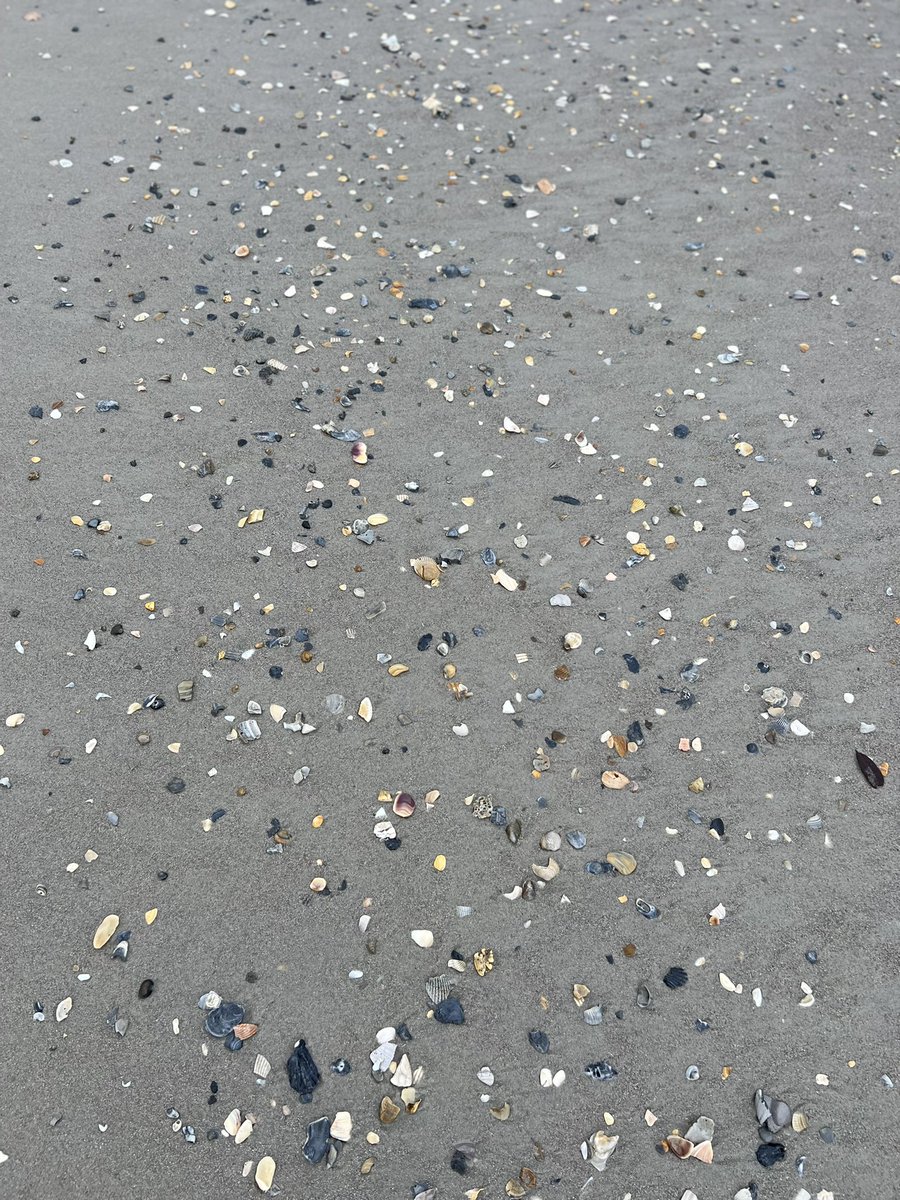 This brings me such joy! #aahhhhsand