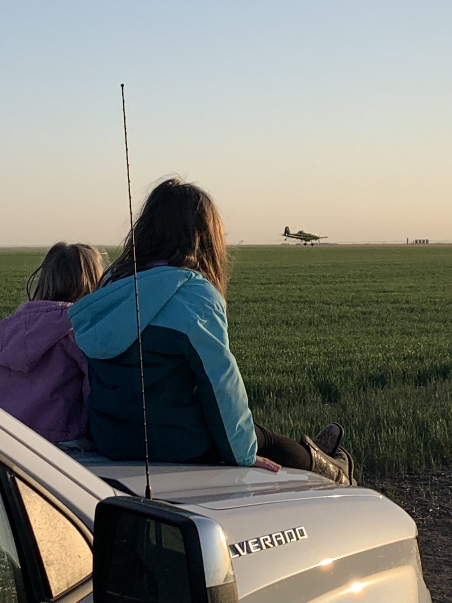 larue_matt's tweet image. Spray season is the best season #simplot #wheat