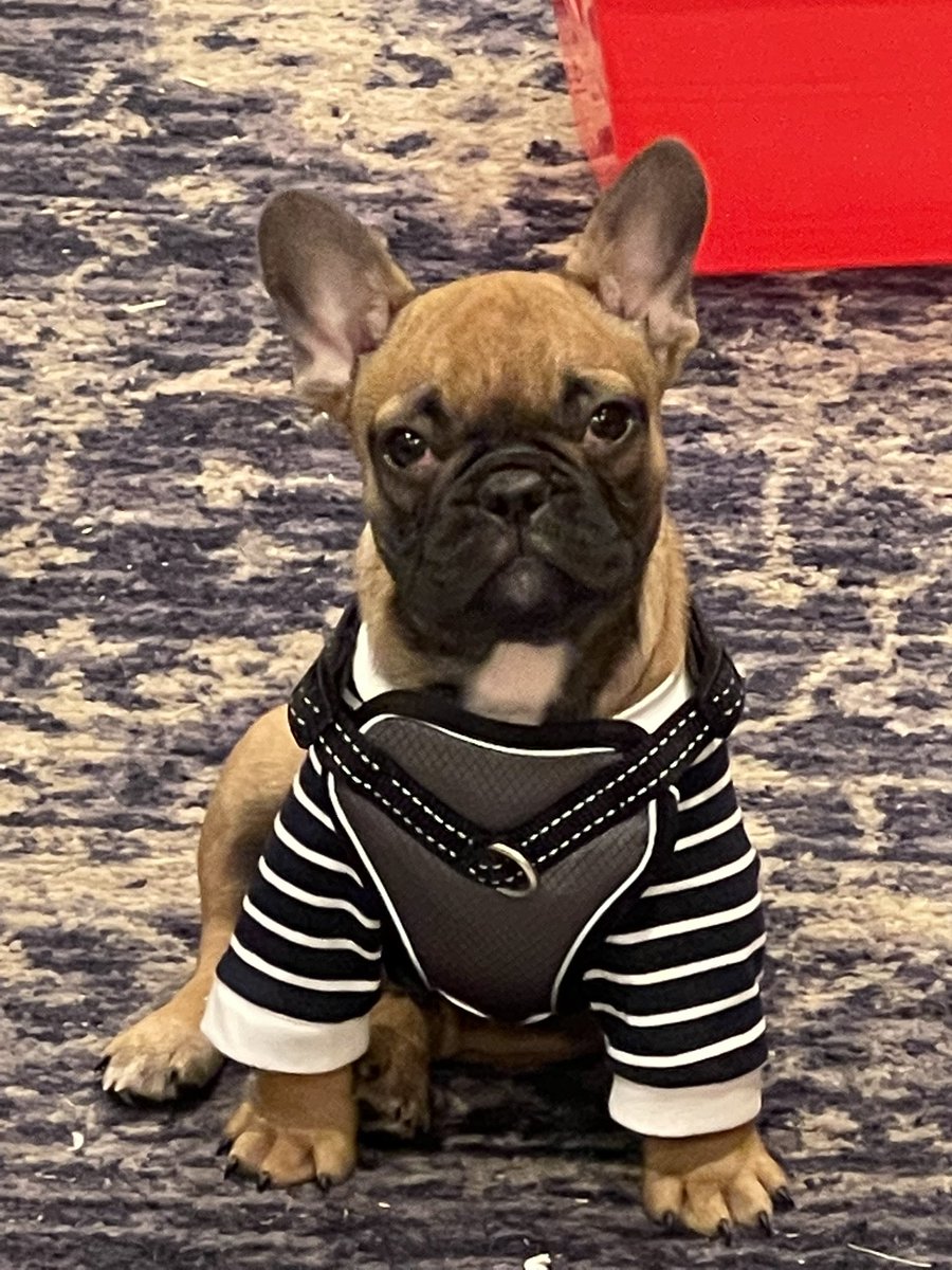 Best buds 🐶👦🏼 🤣❤️