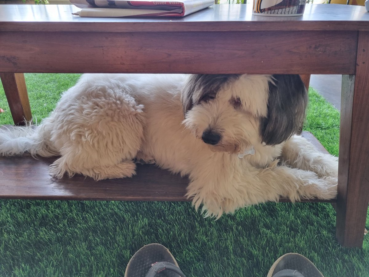I would take this under the table deal any day.😀
