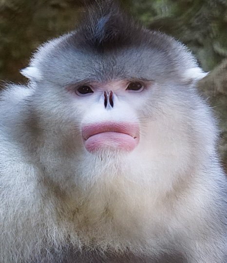 monkeywithlips's tweet photo. @chair_bagels Mwah https://t.co/yfAY5MXKQi