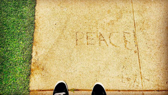 on my neighborhood walk today...it brought me peace ✨ sending you the same vibes, love & peace 🙏💕✌️
#losangeles #messagesfromtheuniverse #peace #love #gratitude #actor #streetphotography