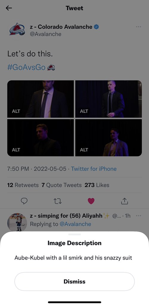 forsberglvr's tweet photo. @Avalanche @madsfids this description is adorable! #KingGarbage! https://t.co/r5azknmR2q