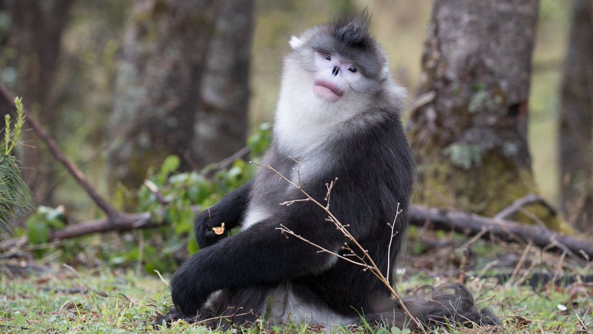 monkeywithlips's tweet image. How are you, my friend?! Well, I hope!