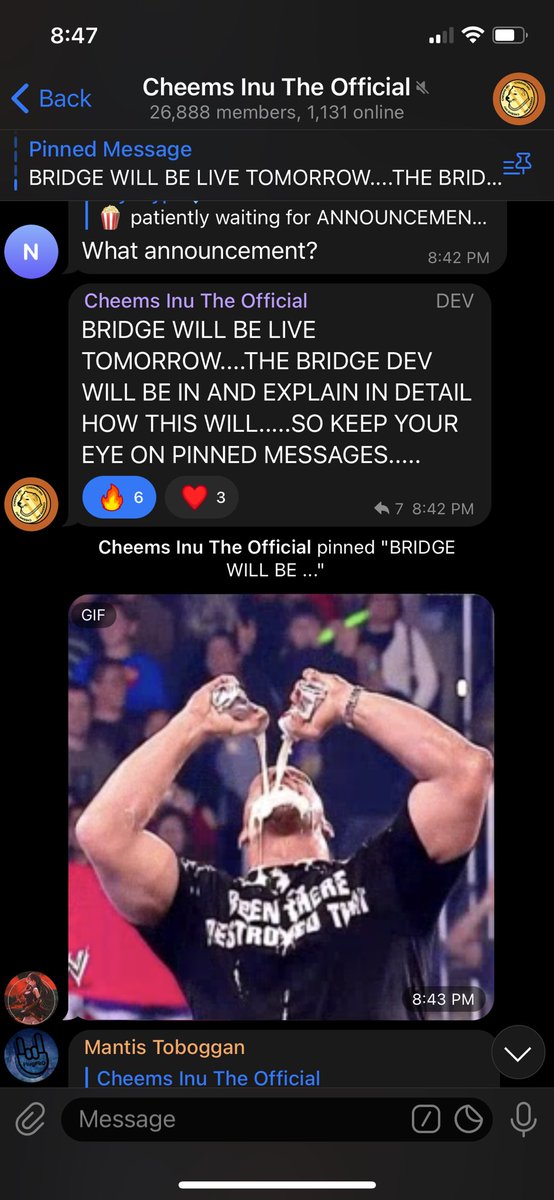 c_dentor's tweet photo. It's about to go down...buckle up, champs. 
No time for #fud. Believe in your gem.

Millionaires will be made!

#CheemsInu #MemeTech #CheemsPad #EthBridge #CheemsInuTakeOver https://t.co/fmei7I28Di