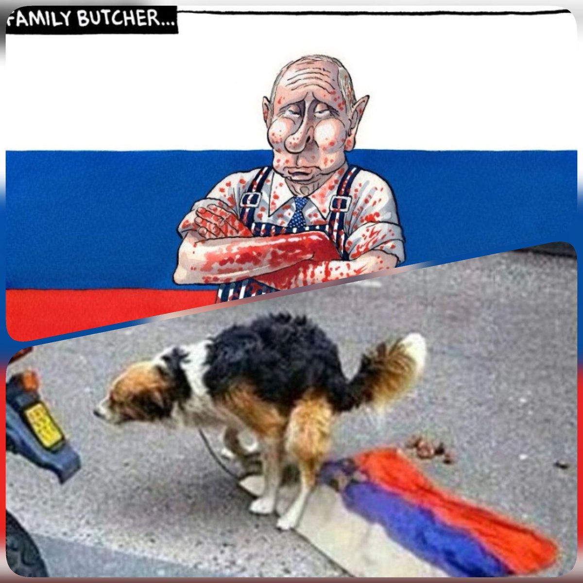 ChubbyGit's tweet photo. @AlexMun_2 @agamemnon605133 @m8tis_seb @KyivIndependent @IntlCrimCourt @UN @vonderleyen RU⚡⚡IAN bot alert. https://t.co/vN6GqsmzRU