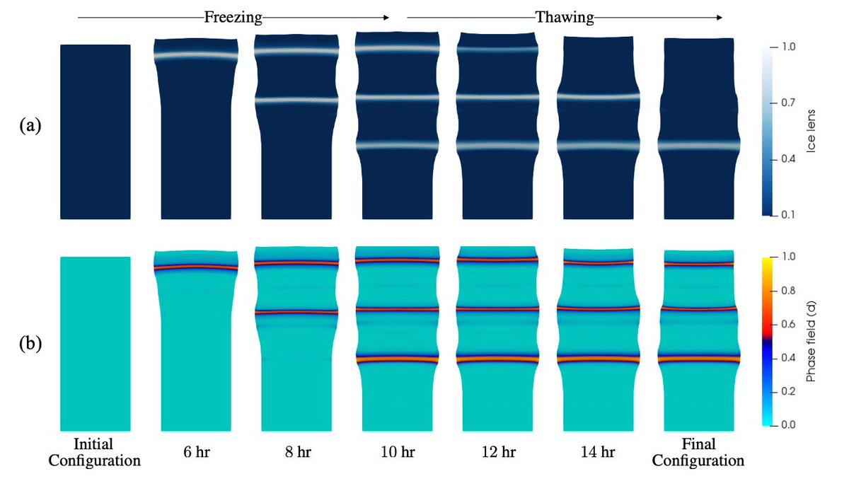 Poromechanics's tweet photo. Our ARO-supported research (first author = Hyoung Suk Suh) on ice lens formation in frozen soil has just been accepted by IJNAMG.
Abstract:
https://t.co/NvYd086lVT
Preprint:
https://t.co/3D5UBVNZ6W
#icelens #phasefield #freezinginducedfrature #climatechange #sustainability https://t.co/C2G51IXJ6u