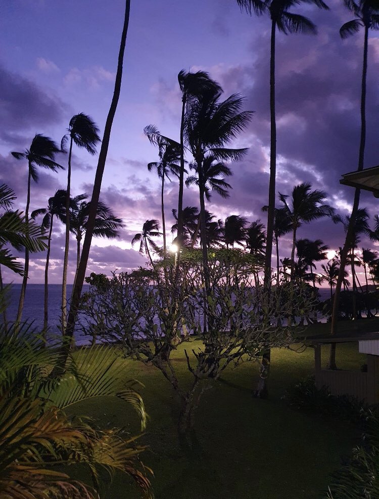 So, apparently #Fiji has purple sunsets. Couldn’t be a more perfect inspiration for my #WIP. It may be set in Hawaii but it’s the same ocean 😉. Perfect place to fall in love the for the first time!

#WritingCommunity 
#romance #newadult