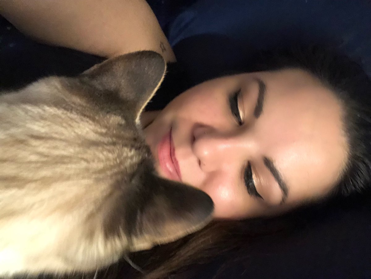 ClaraElenaDice's tweet photo. Everytime I try to get a #ThirstyThursday pic, this happens π #interruptingcat π https://t.co/J2J5iEm2Sv