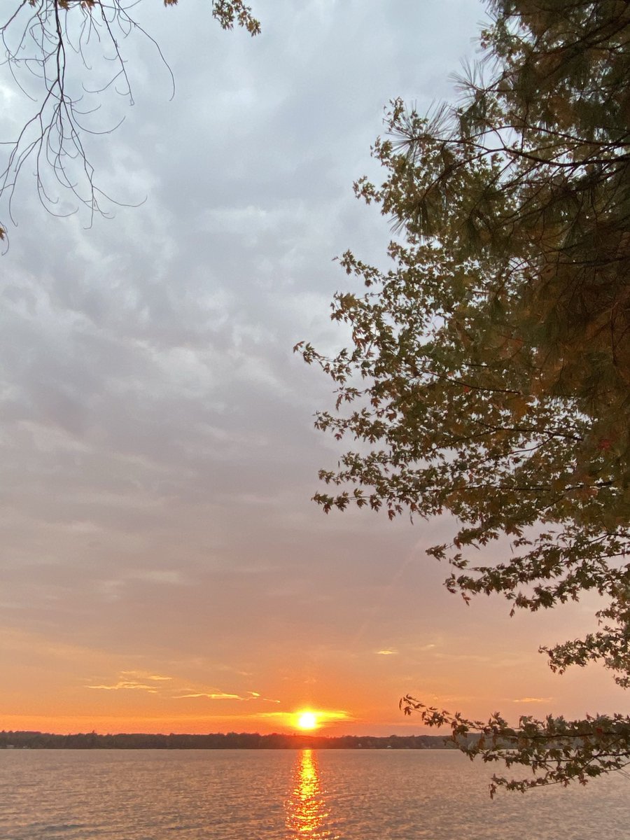 Jennifer Murphy tweet media