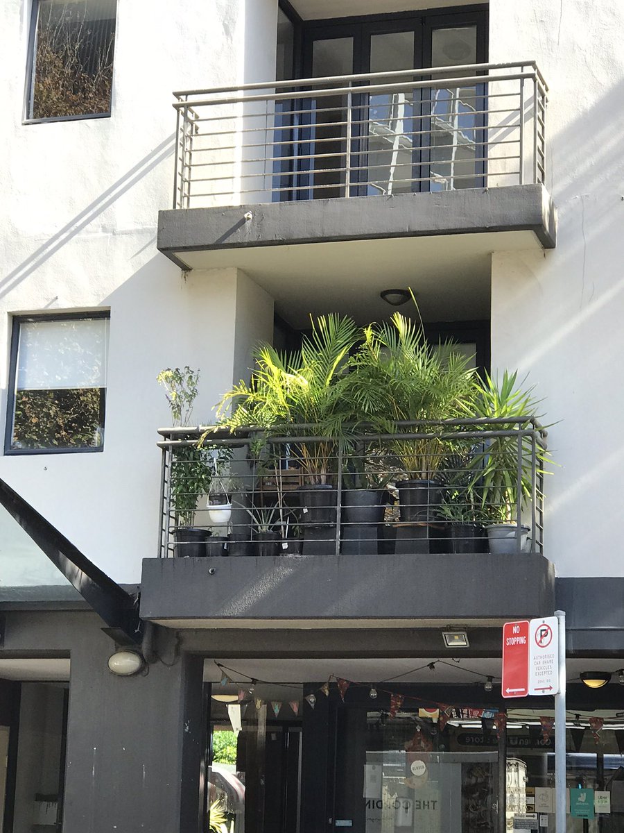 shebahdriver's tweet photo. Darlinghurst life 🌱
#shebah #citylife #Sydney https://t.co/vNXI7Yez8u