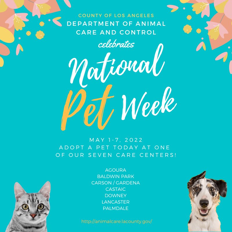 LACoAnimalCare's tweet photo. DACC celebrates National Pet Week! Make an appointment today to adopt a pet from one of our seven animal care centers. Β If you already have a pet of your own, take a photo of you and your pet, then tag us! #nationalpetweek #daccares https://t.co/pXoaykyPJX