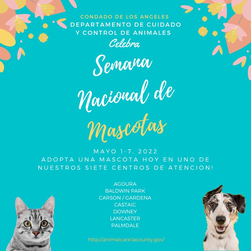 LACoAnimalCare's tweet photo. DACC celebrates National Pet Week! Make an appointment today to adopt a pet from one of our seven animal care centers. Β If you already have a pet of your own, take a photo of you and your pet, then tag us! #nationalpetweek #daccares https://t.co/pXoaykyPJX