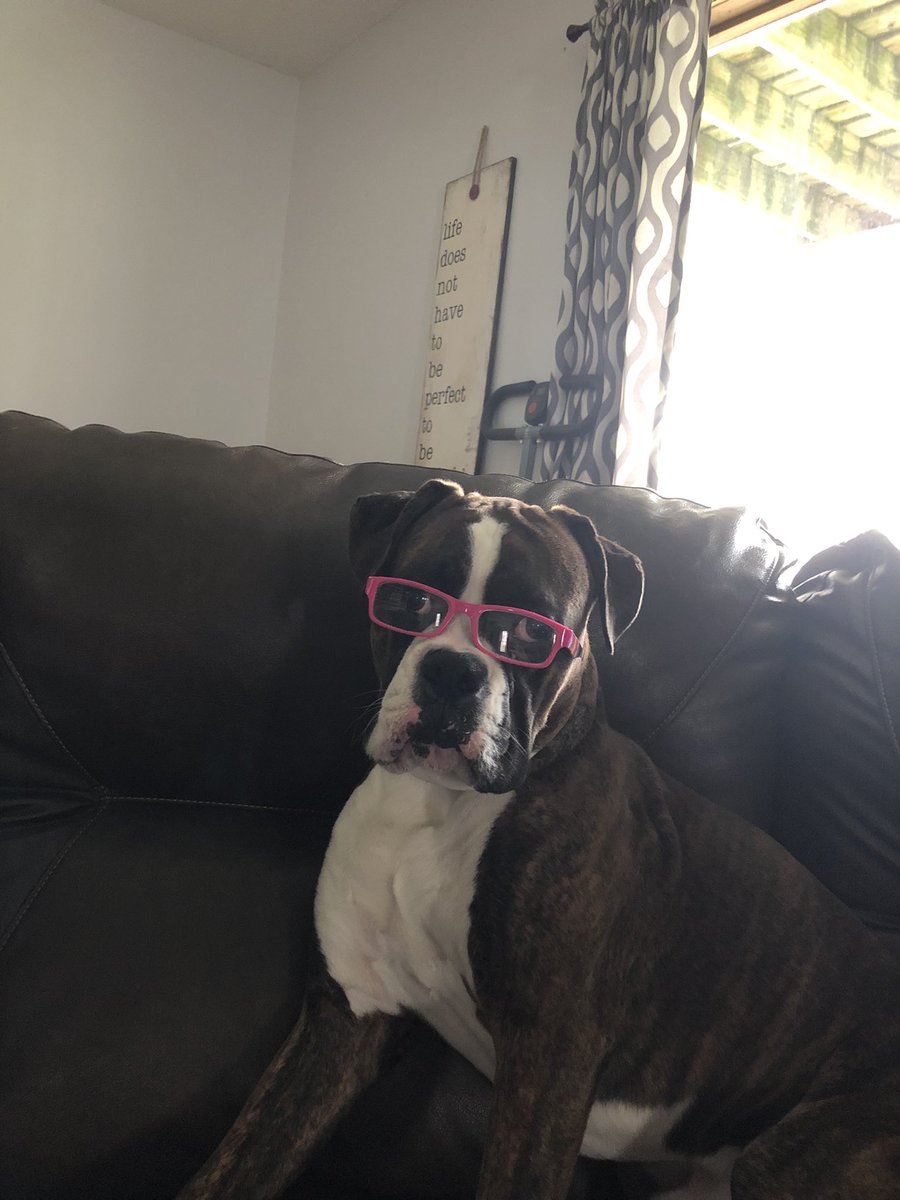 Jaxon saville (@jaxonsaville) on Twitter photo 