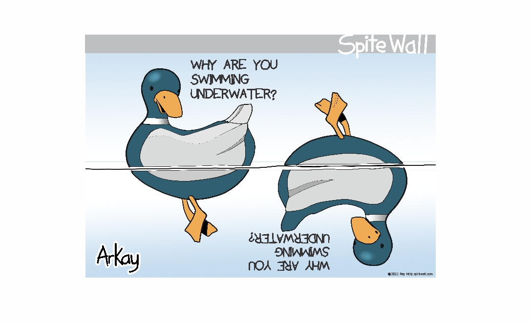 spitewall's tweet photo. Down Under #downunder #DuckTales #duckpaddle #perspective https://t.co/LtVuCQYrZB