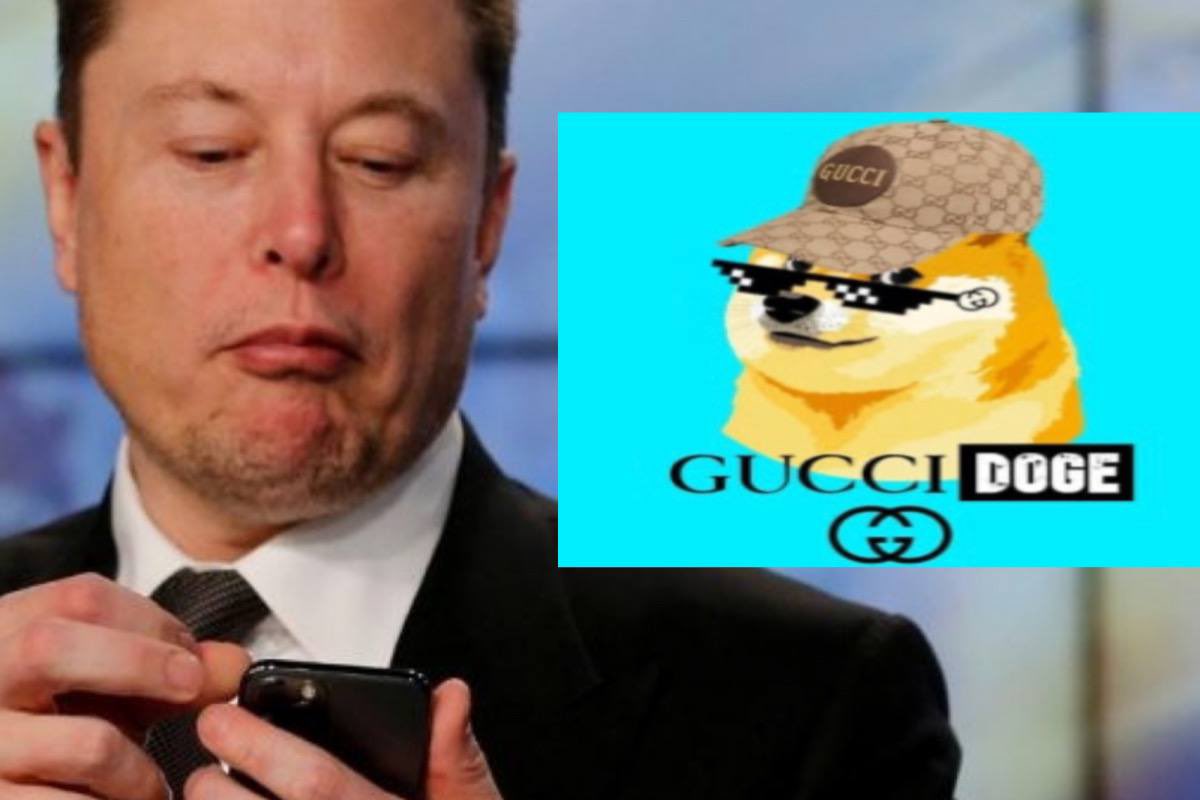 briangreene09's tweet photo. You know you love this one https://t.co/qnFGNrv5PU                      https://t.co/wdLeebQPvs.   @1goonrich @GodReviews_ @OfficialTravlad @AltLadySamurai @CryptoLadyNinja @cryptogems555 @DaCryptoDiva @CRyptOracl3 @CryptoScienti @gucci1017 @CryptoAVA_ @dogecoin https://t.co/K741hZMUo0