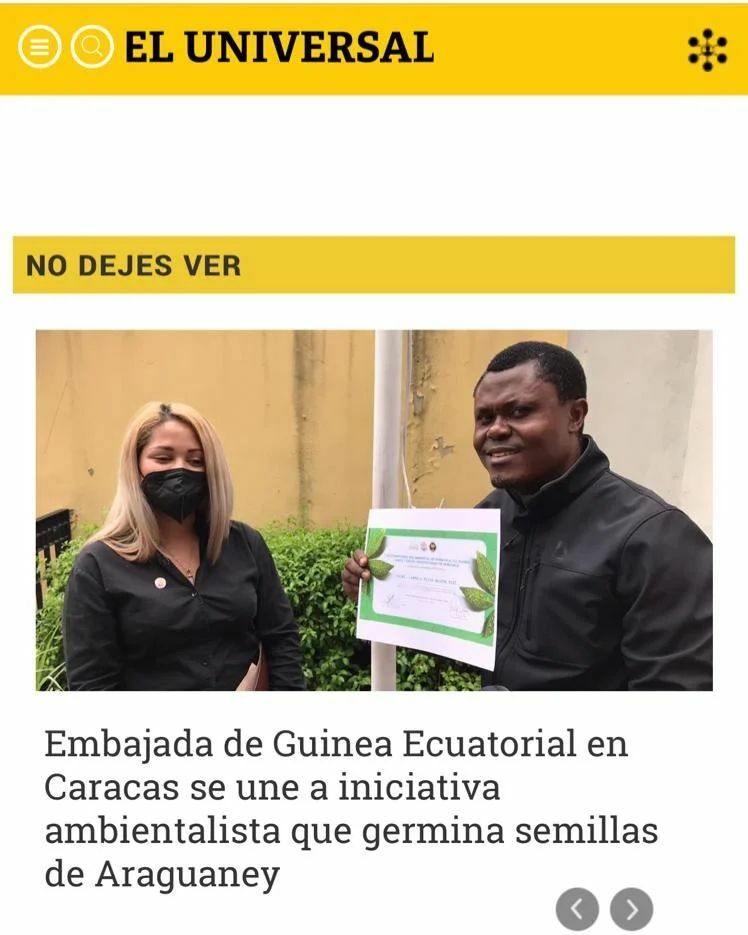 CultivandoLazos's tweet photo. Agradecemos a @eluniversal por la publicación de la iniciativa Padrinos/Madrinas Germindores de semillas de árbol araguaney de las fundaciones @redambientaldevenezuela @raicesunivenezuela y @fundacioncultivandolazos

No podemos dejar de agradecer el maravilloso trabajo de re… https://t.co/Ic3Gs72e9k